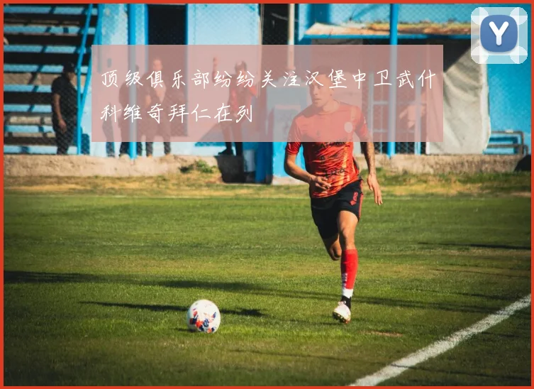 顶级俱乐部纷纷关注汉堡中卫武什科维奇拜仁在列
