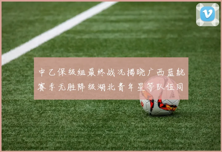 中乙保级组最终战况揭晓广西蓝航赛季无胜降级湖北青年星等队伍同遭降级