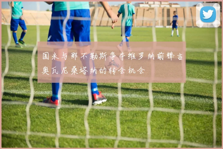 国米与那不勒斯争夺维罗纳前锋吉奥瓦尼桑塔纳的转会机会